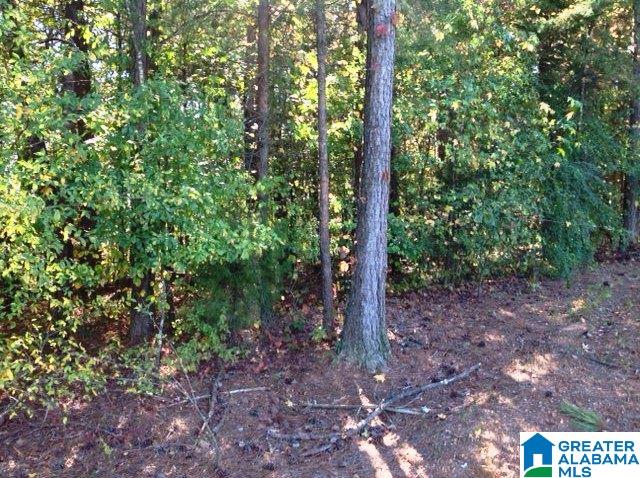 0 Whispering Pines Road, Unit 1 AMD 2 Oxford, AL 36203 - Photo 26 of 30