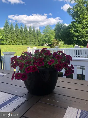 a view of a street with flower garden