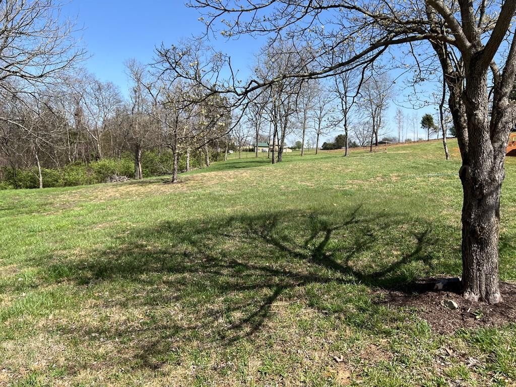 0 Sullivan Pointe Point Dandridge, TN 37725 - Photo 1 of 5