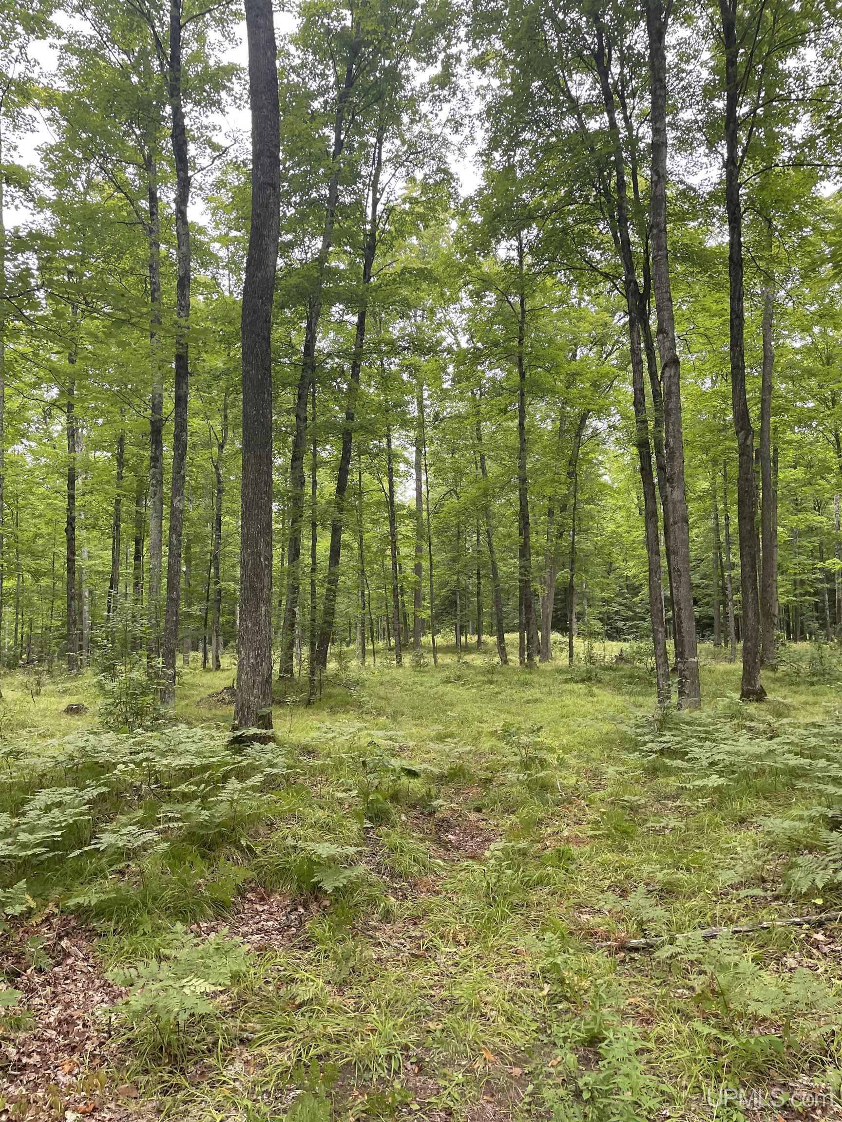 Tbd Tbd County Road, Unit 1 Cornell, MI 49818 - Photo 31 of 41