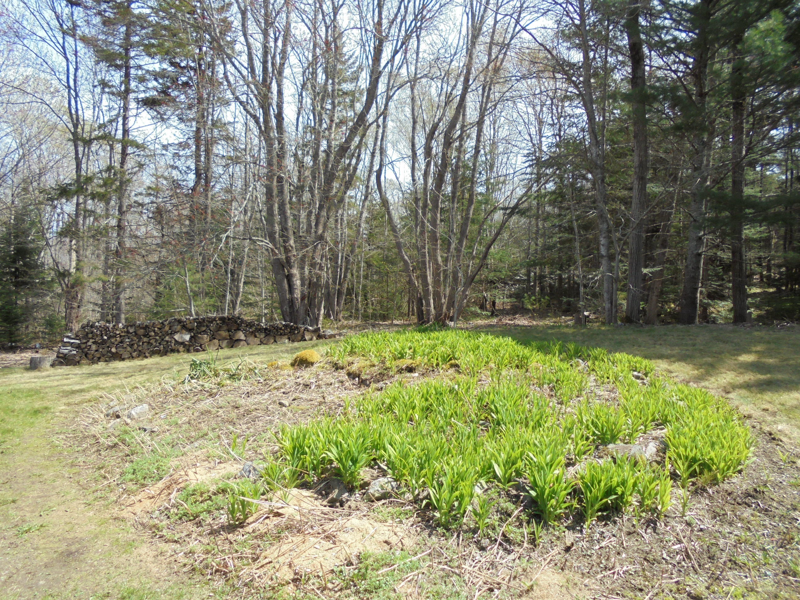 121 Long Cove Road St. George, ME 04860 - Photo 23 of 24 DSC01547