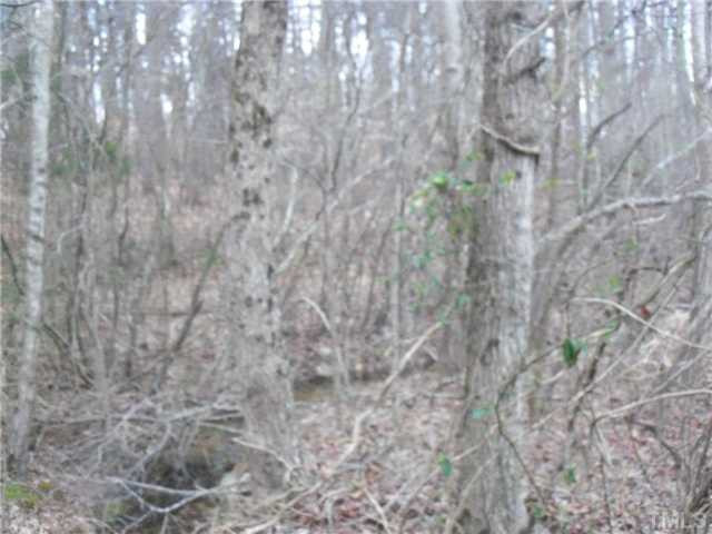 Fieldstone Road Roxboro, NC 27574 - Photo 5 of 7 a close up of a plant