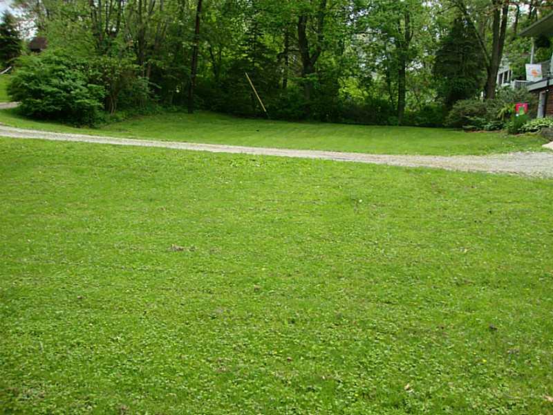 282 McMurray Road Upper St. Clair, PA 15241 - Photo 13 of 25 Yard/Garden. View of Front Yard.
