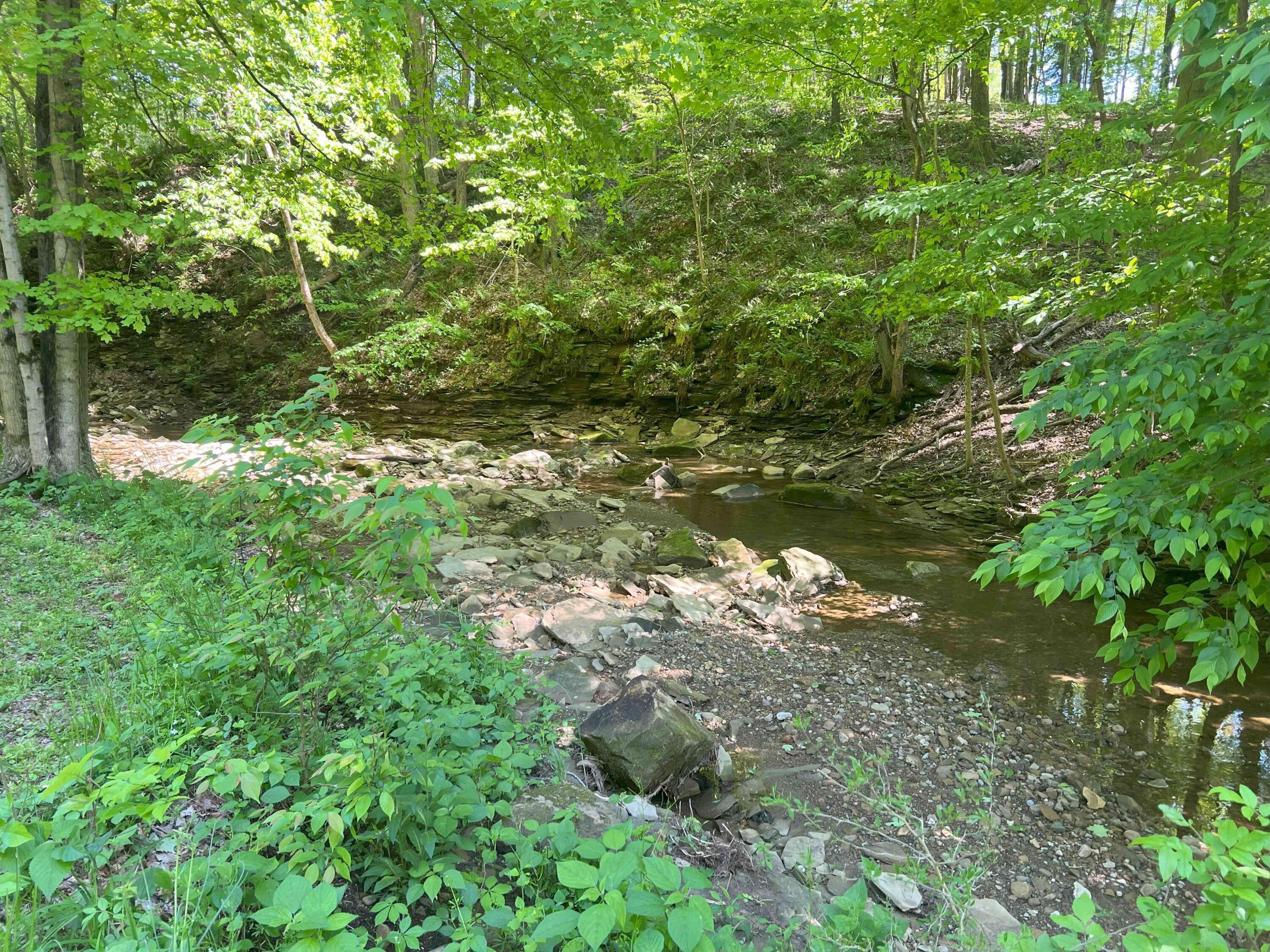 4965 Stone Quarry Road Johnstown, OH 43031 - Photo 26 of 43 IMG_7633