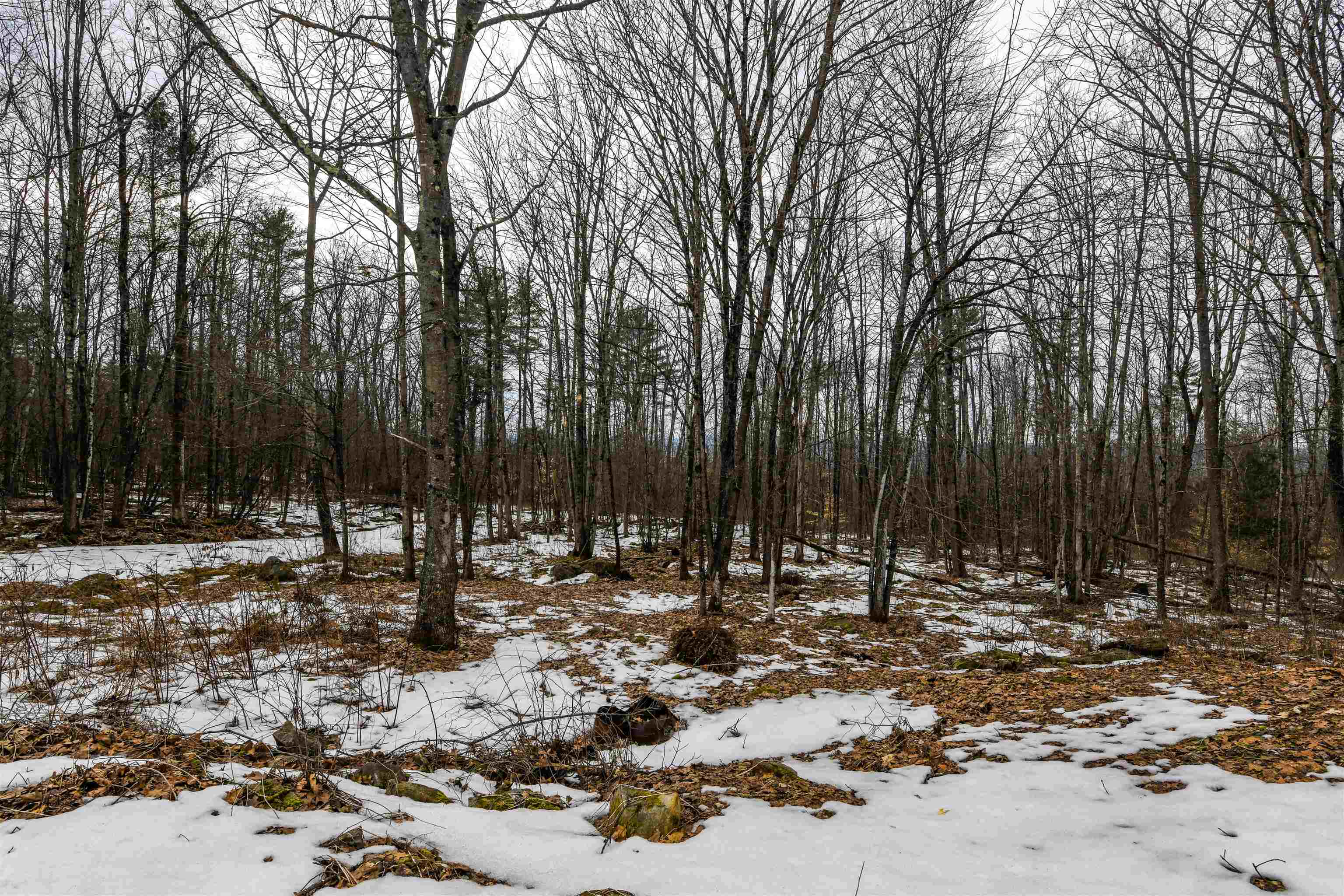 359 Woodward Road Haverhill, NH 03774 - Photo 7 of 29 Gallery Image 7