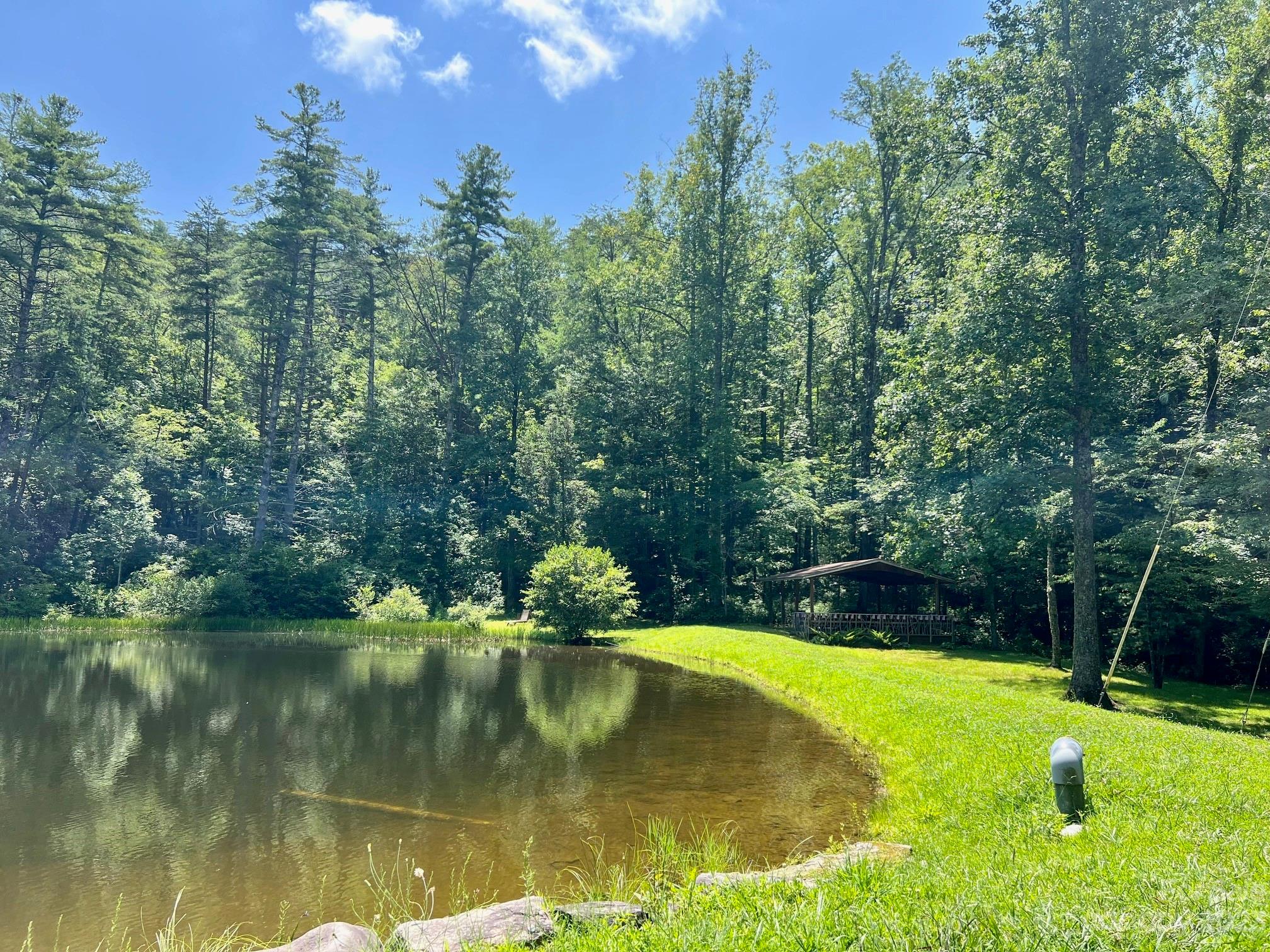 Lot 24 Round Mountain Road, Unit 24 Brevard, NC 28712 - Photo 20 of 22 a view of a lake view
