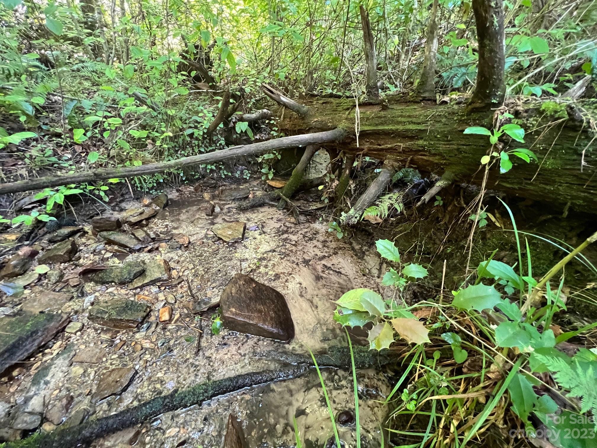 Lot 24 Round Mountain Road, Unit 24 Brevard, NC 28712 - Photo 2 of 22 a backyard of a house with lots of green space