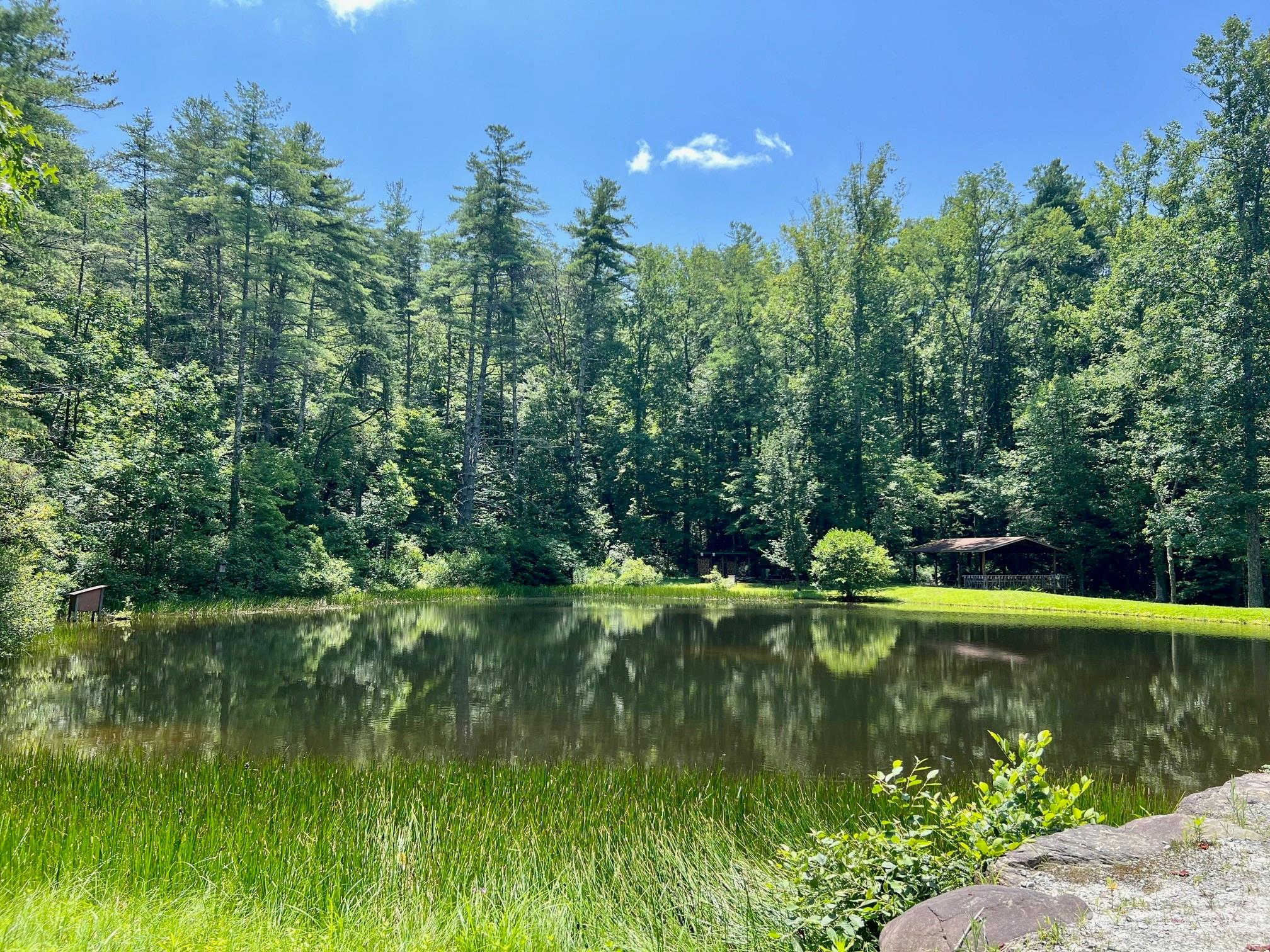 Lot 24 Round Mountain Road, Unit 24 Brevard, NC 28712 - Photo 21 of 22 a view of a lake with a house in the background