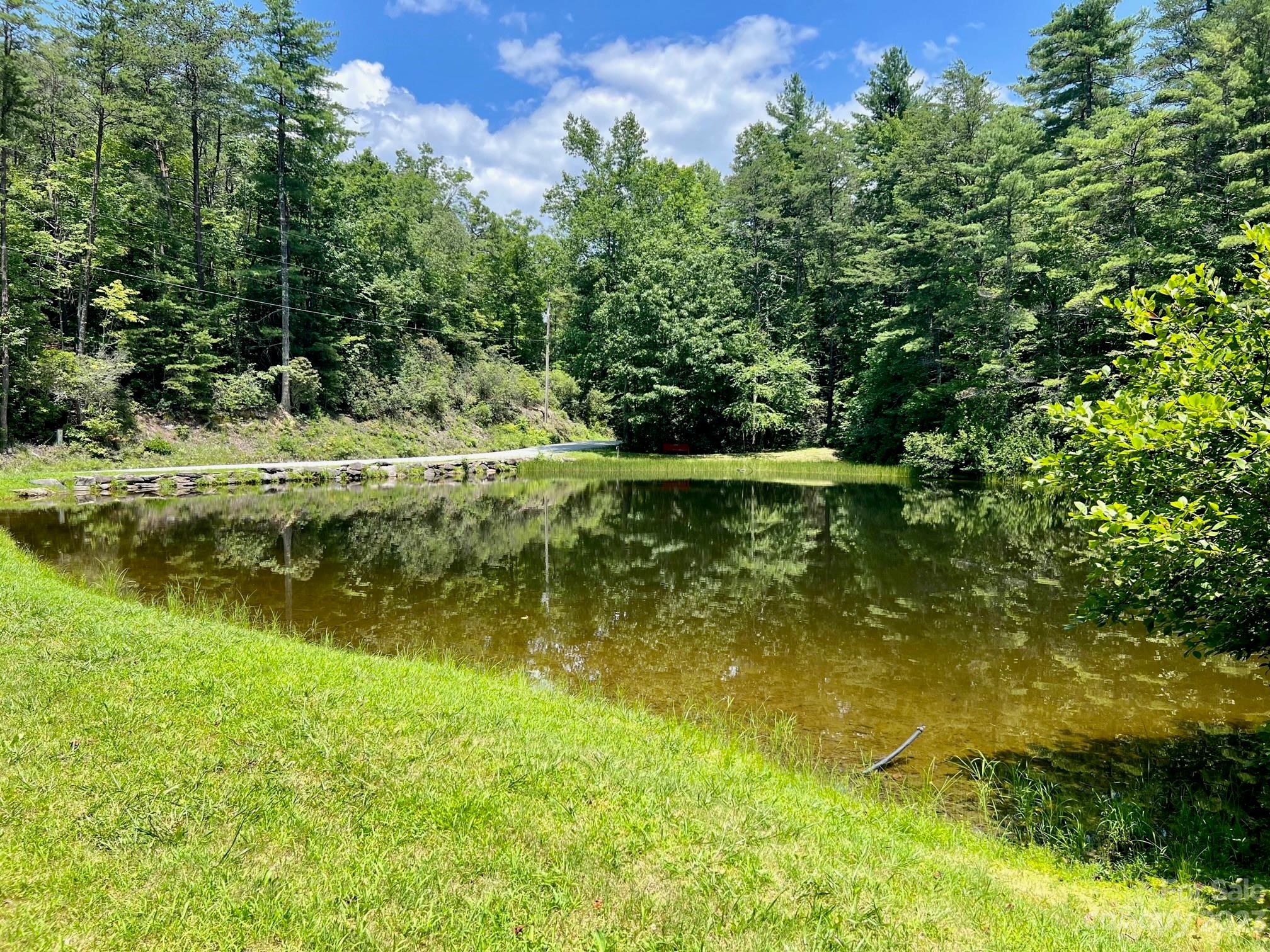 Lot 24 Round Mountain Road, Unit 24 Brevard, NC 28712 - Photo 22 of 22 a view of a lake with a yard