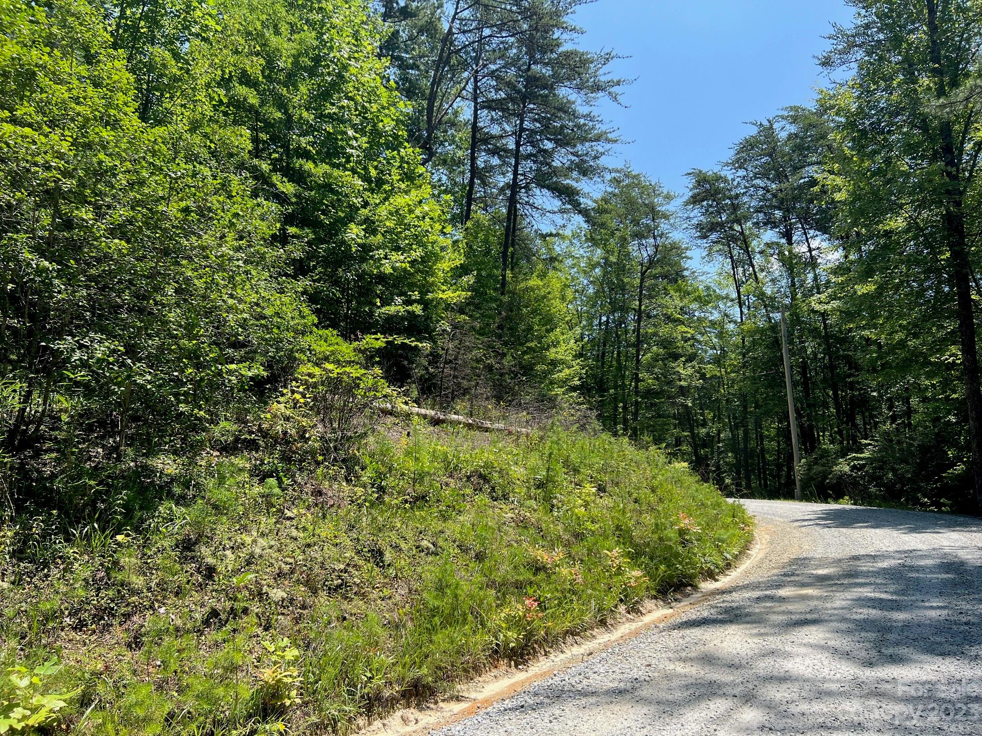 Lot 24 Round Mountain Road, Unit 24 Brevard, NC 28712 - Photo 10 of 22 a view of a garden with plants and large trees