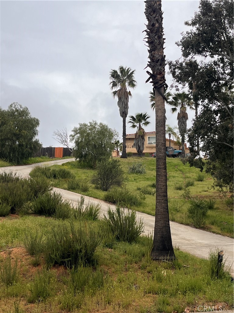 24638 Pappas Road Ramona, CA 92065 - Photo 23 of 23 a view of a garden with a lake