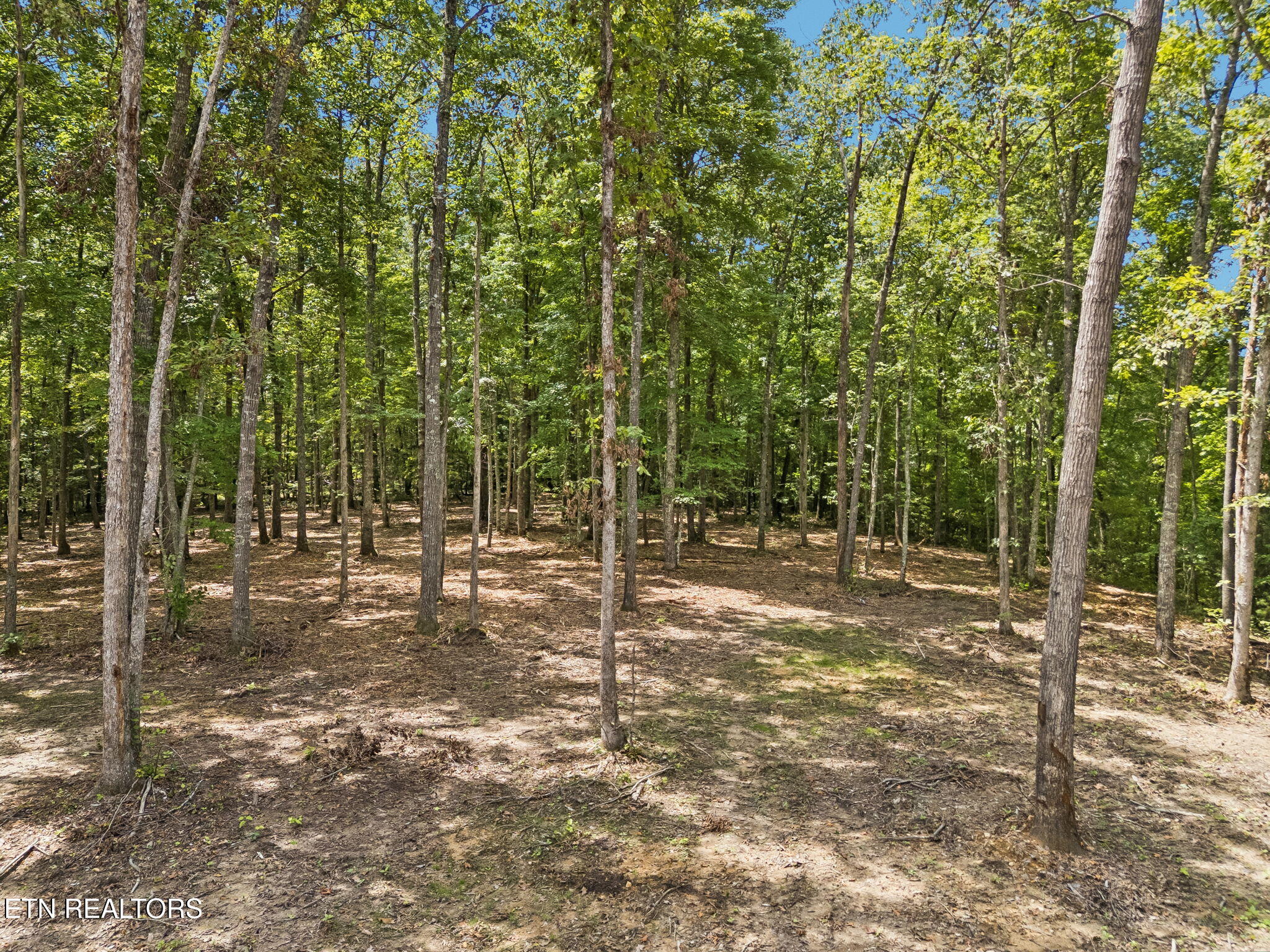 Sheep Ranch Road, Unit TRACT 7 Robbins, TN 37852 - Photo 31 of 35 38-1 Sheep Ranch Rd Lot 7 - 038