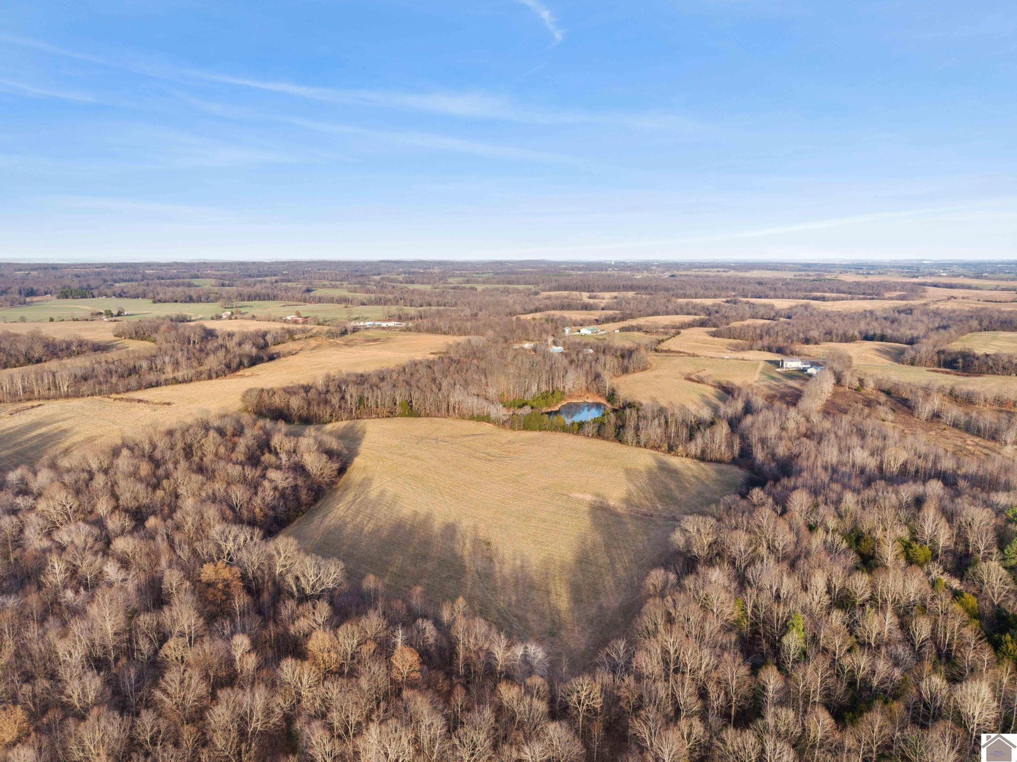 600 Liberty Road Eddyville, KY 42038 - Photo 49 of 50 Photo 49