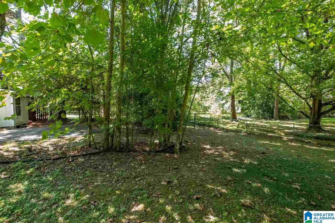 1708 Old Springville Road Center Point, AL 35215 - Photo 23 of 24