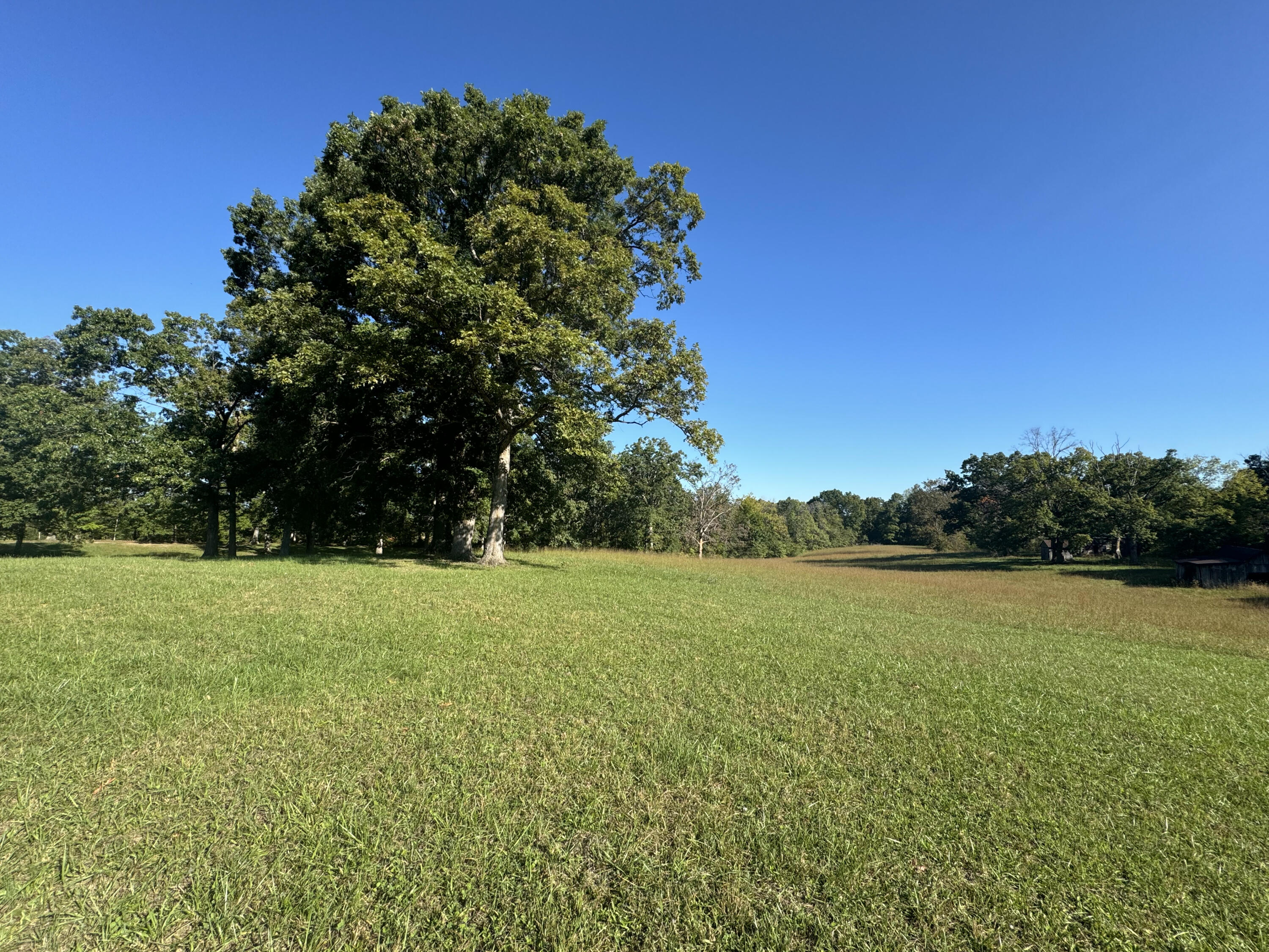 0 Dreyfus Road Waco, KY 40385 - Photo 16 of 26 IMG_4012 2