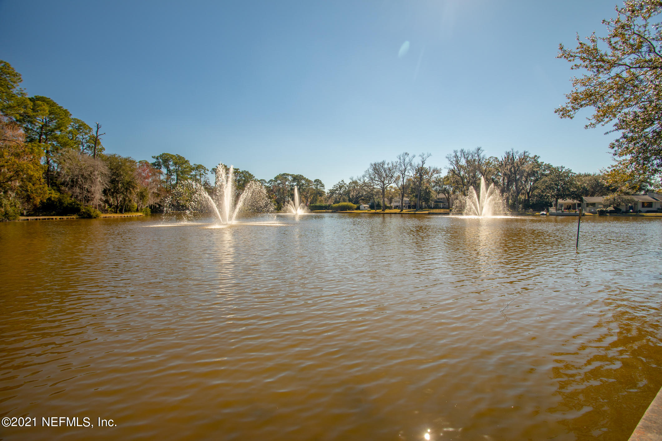 977 Waterman Road North Jacksonville, FL 32207 - Photo 43 of 44 OHO Amenities Library - Colonial Manor L