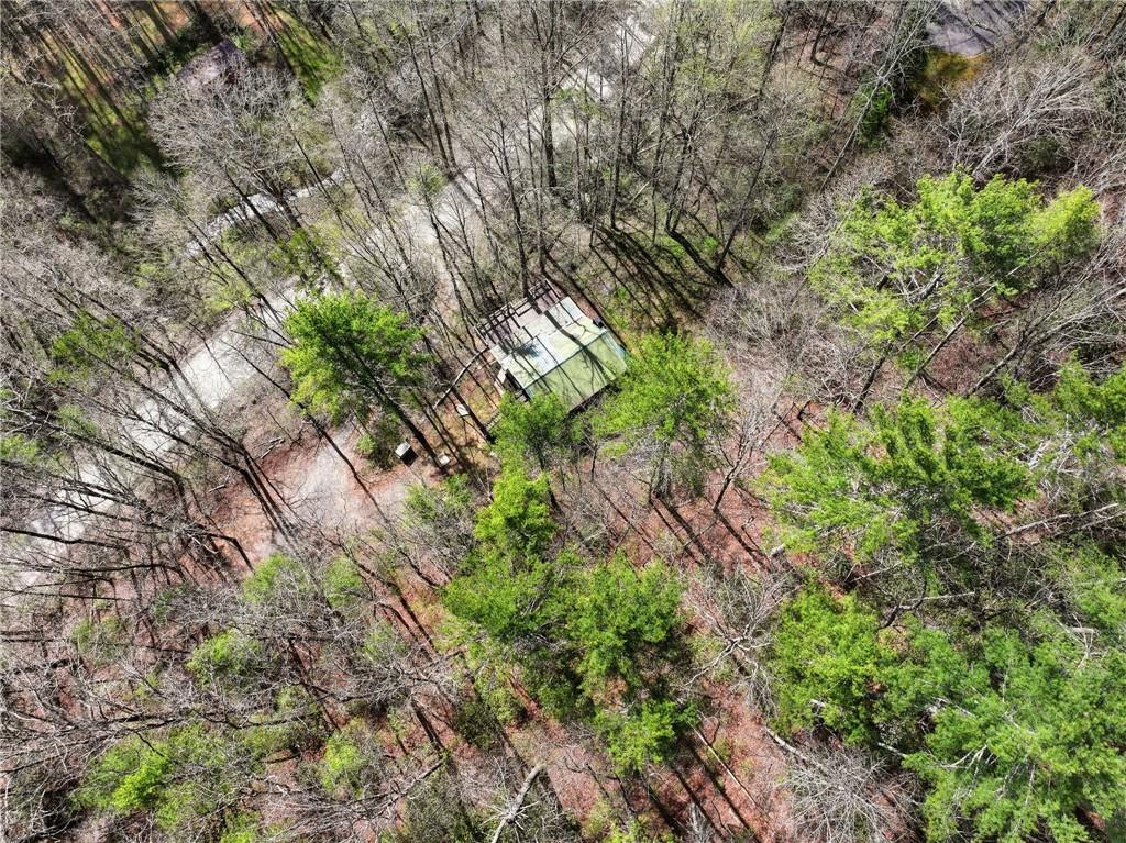 1780 Conasauga Road Ellijay, GA 30540 - Photo 43 of 43 a backyard of a house with lots of green space and garden
