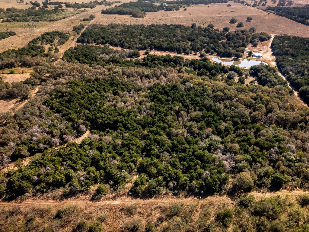 Tbd Tbd Karisch Road Giddings, TX 78942 - Photo 14 of 25