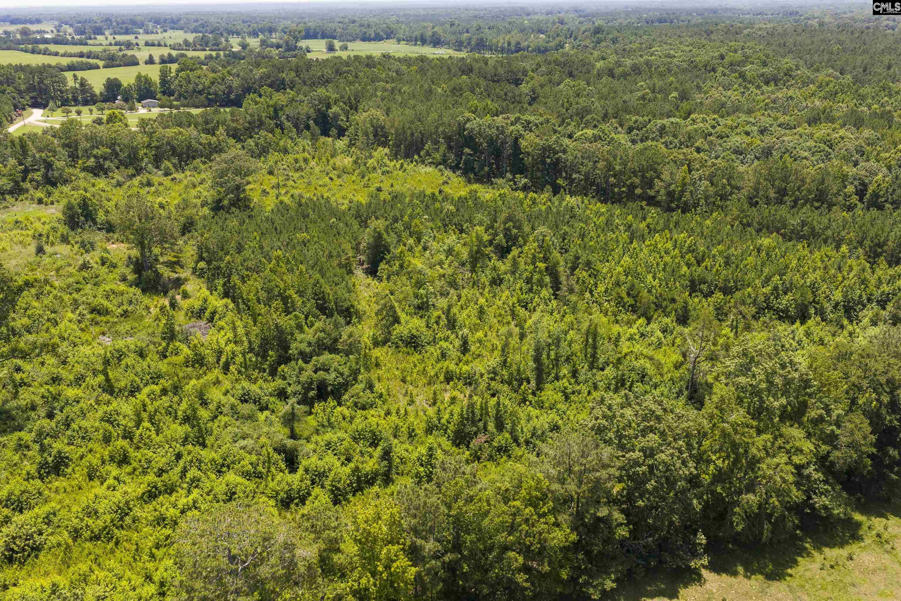 Stevens Road Saluda, SC 29138 - Photo 17 of 23