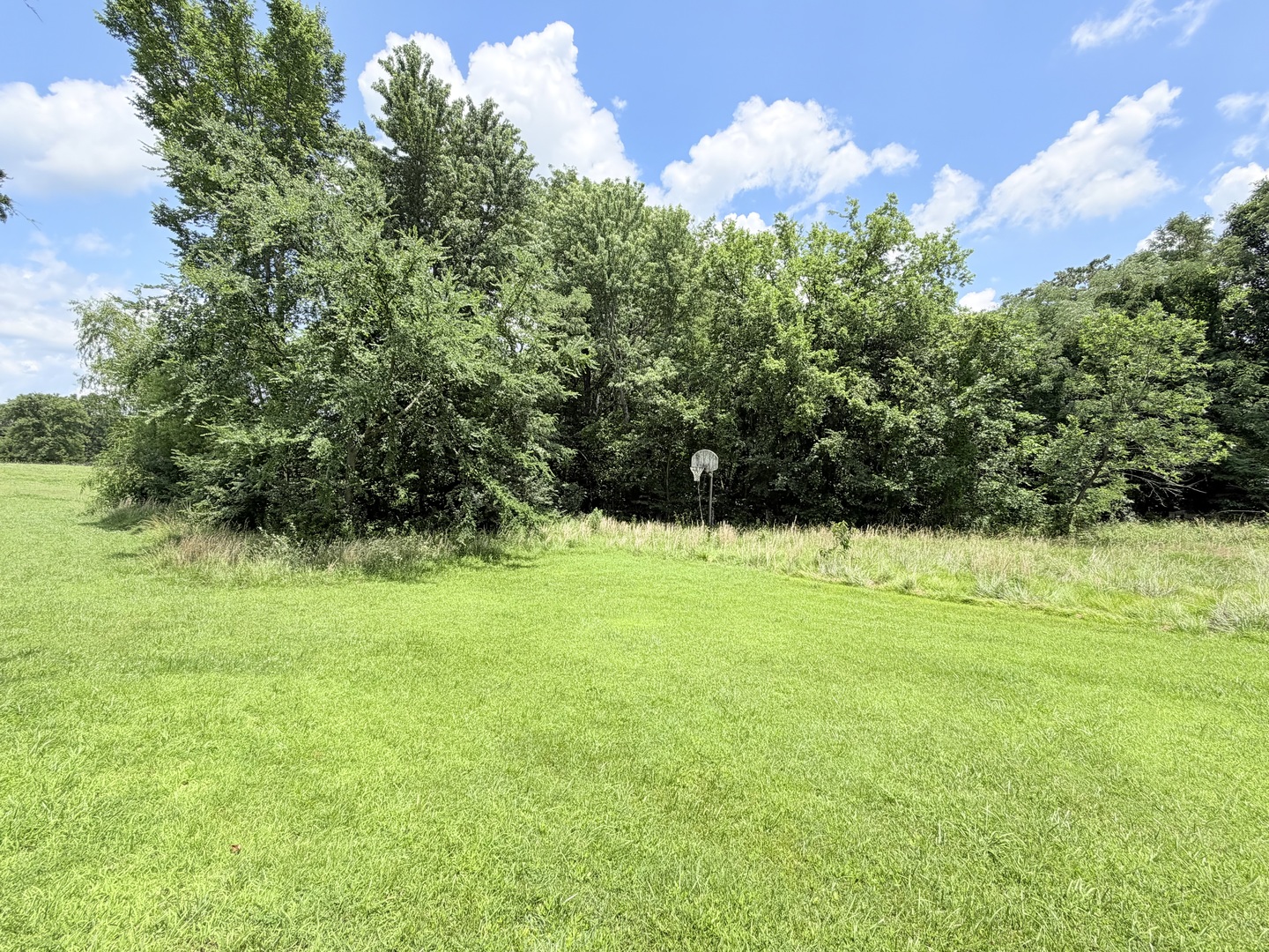 855 Beech Hollow Road Harrisburg, IL 62946 - Photo 26 of 28