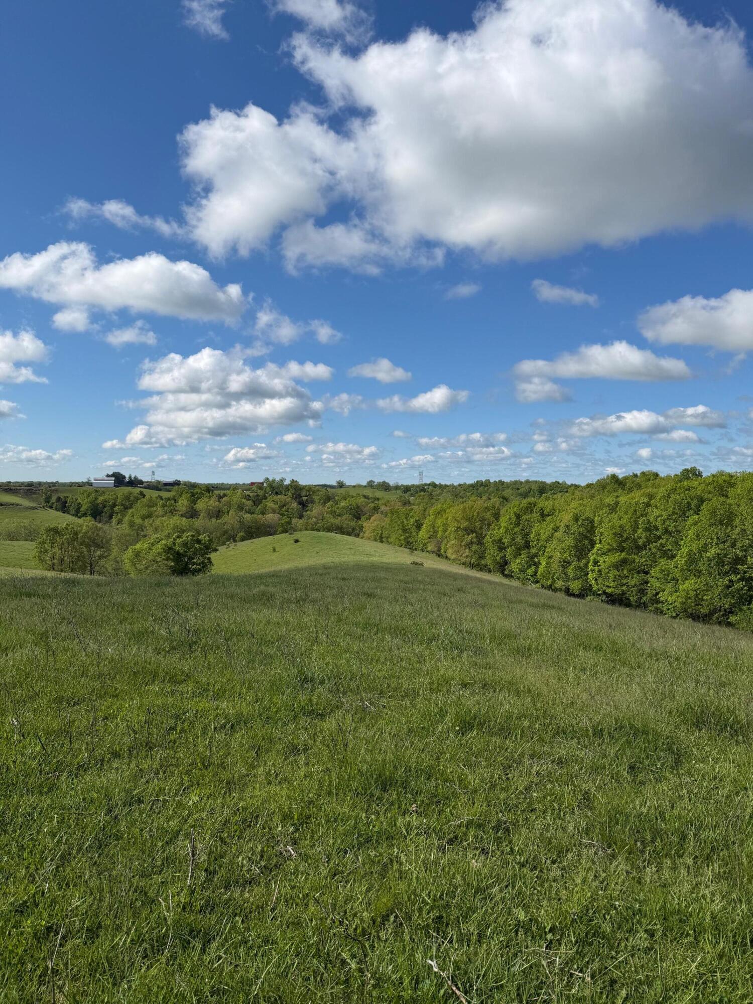 14.17-ac Chipman Ridge Road Williamstown, KY 41097 - Photo 1 of 18