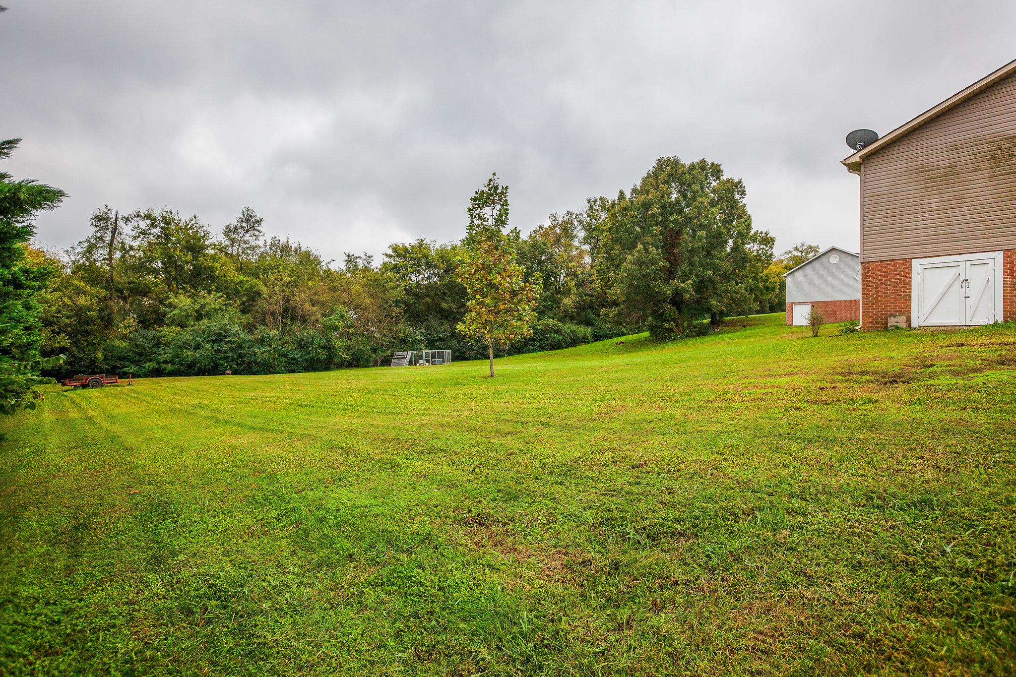 2005 Forest Ridge Trail Columbia, TN 38401 - Photo 21 of 26 Gorgeous Back yard with tall tree line around the back of the property and to the side