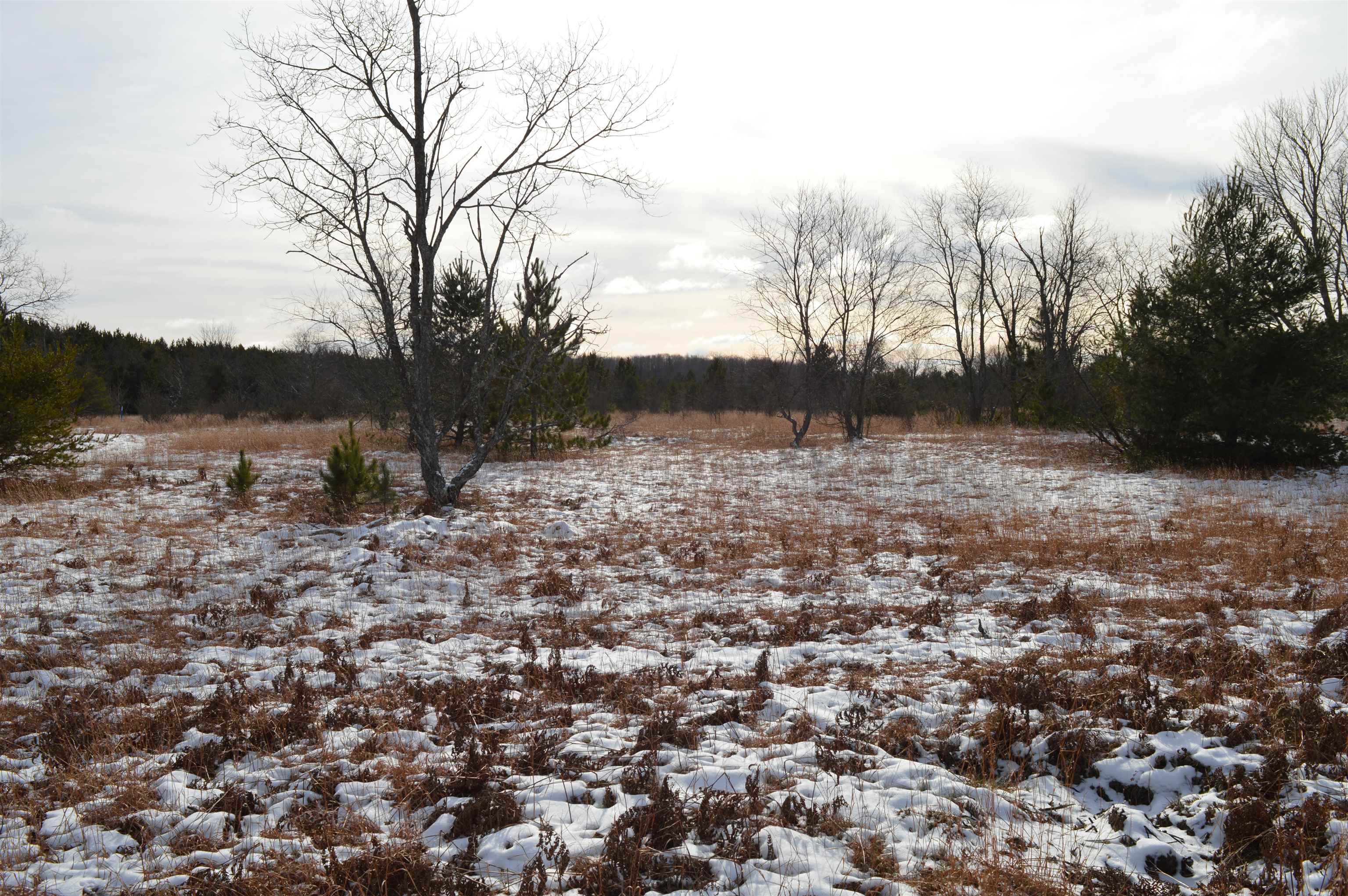 Off Wood Road Northeast Kalkaska, MI 49646 - Photo 21 of 22