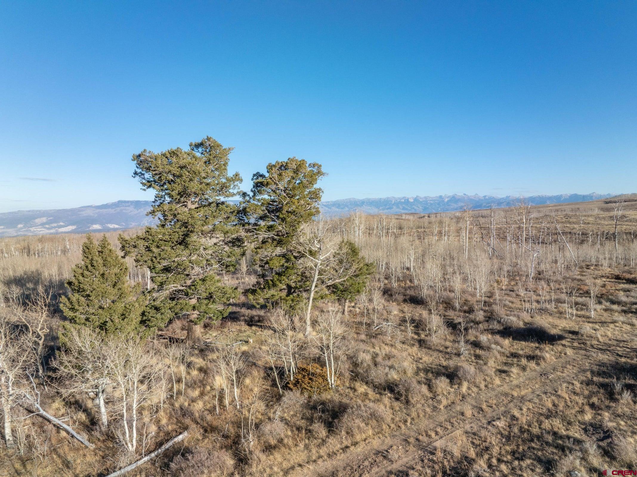 2 Cornerstone Trail Montrose, CO 81403 - Photo 13 of 16