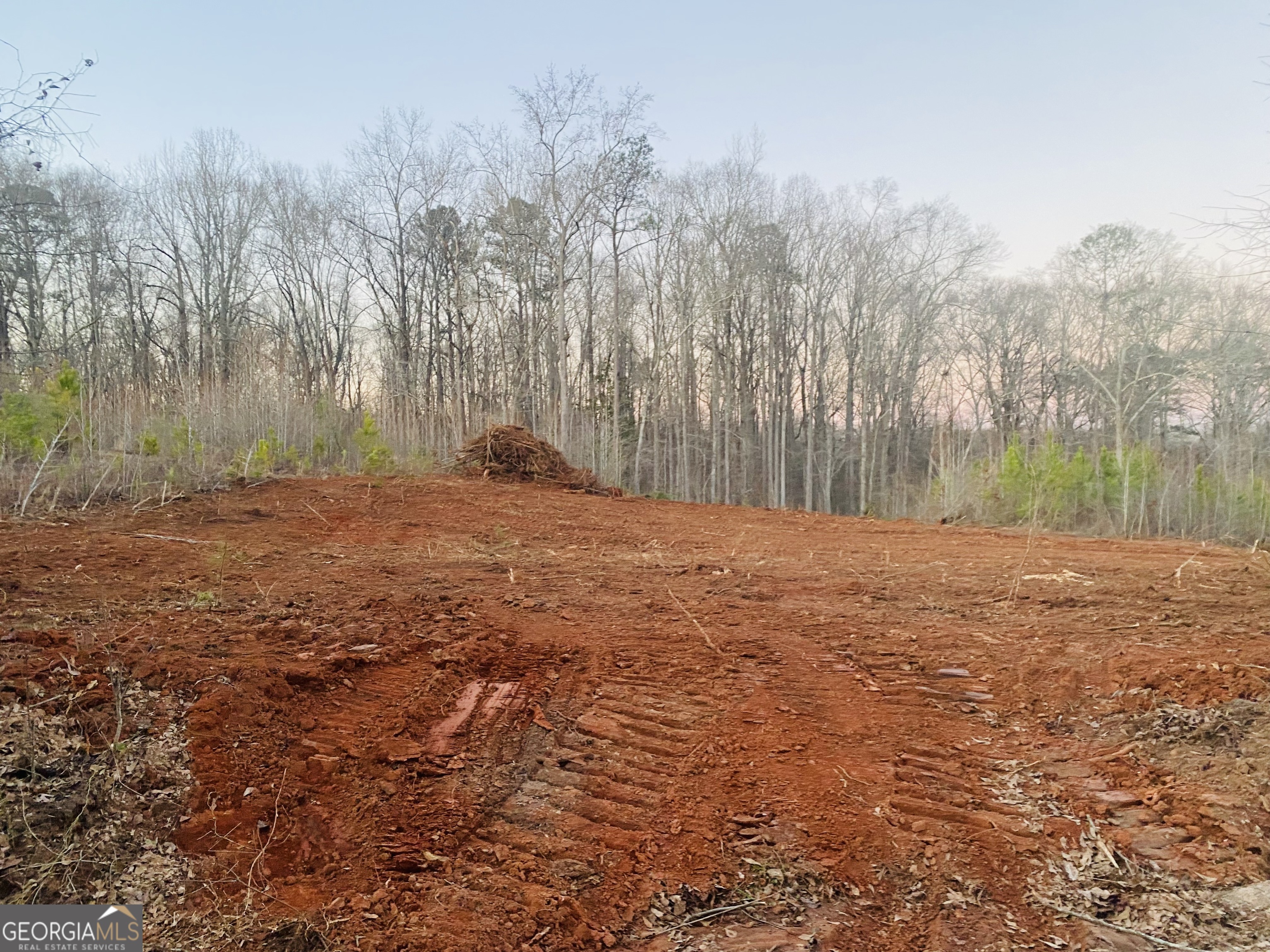 Lot 4 Edwards Road Yatesville, GA 31097 - Photo 1 of 1 Gallery Image 1
