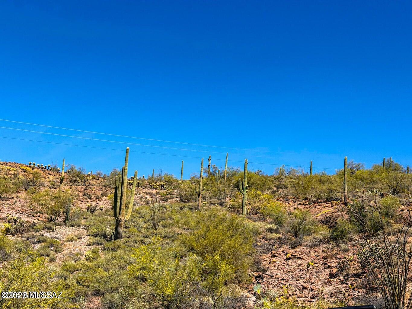 0 North Elephant Butte Road Gold Canyon, AZ 85118 - Photo 18 of 24