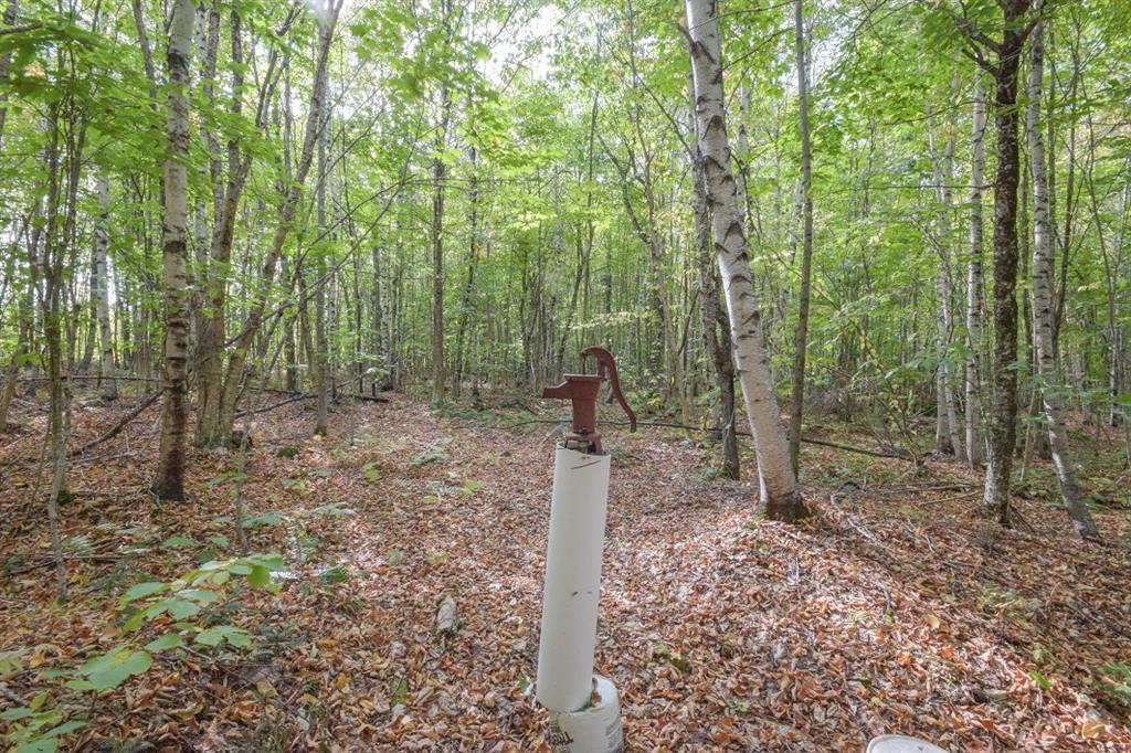 16 Blue Grass Road Springfield, ME 04487 - Photo 10 of 16 Photo