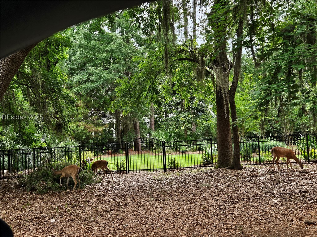 18 Anchorage Way Beaufort, SC 29902 - Photo 14 of 15 Deer View