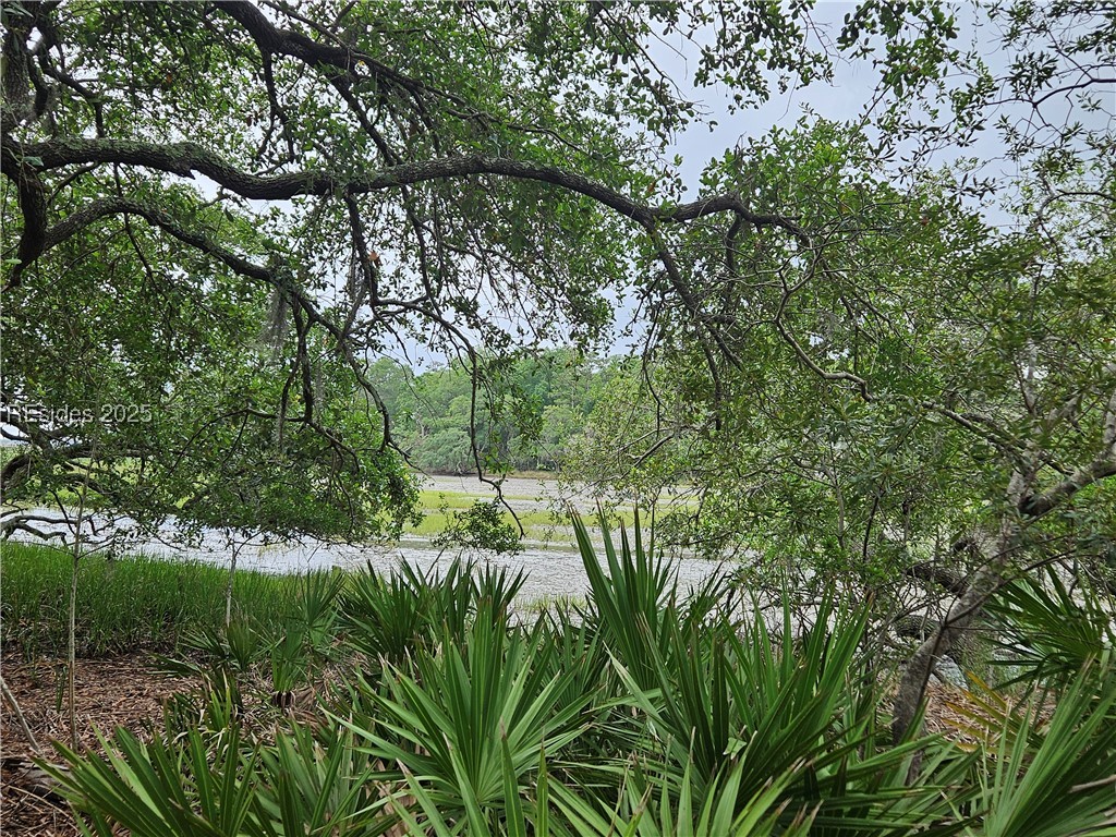 18 Anchorage Way Beaufort, SC 29902 - Photo 3 of 15 Waterview of Property from the rear.