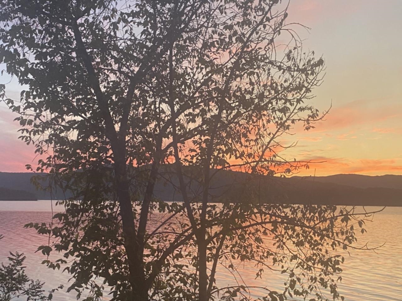 9 Sampson Road Shoreham, VT 05770 - Photo 2 of 35