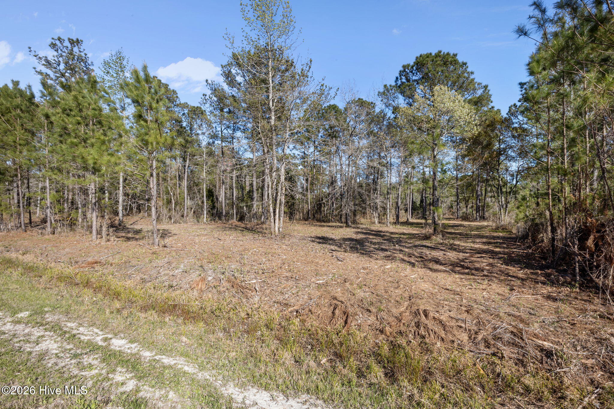 128 Shell Castle Lane Vandemere, NC 28587 - Photo 4 of 16 5-web-or-mls-0C0A8017