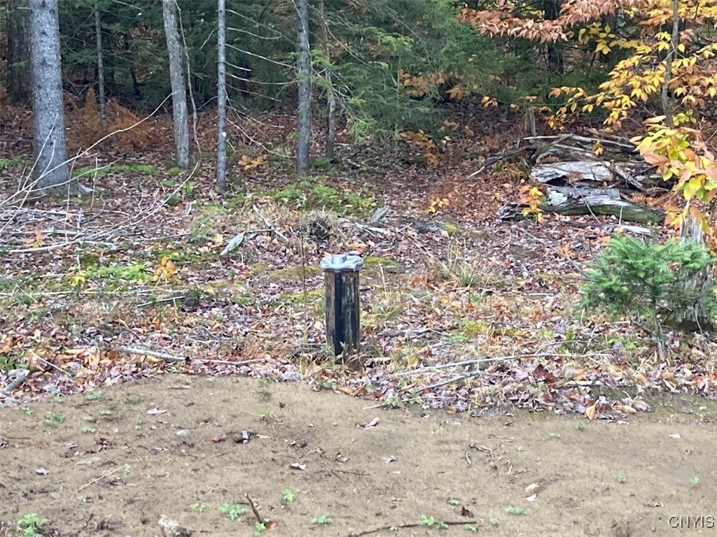 10240 Riggerman Road Remsen, NY 13438 - Photo 22 of 29