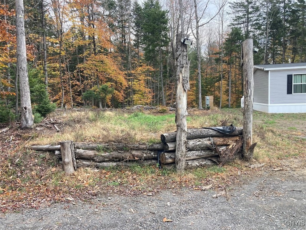 10240 Riggerman Road Remsen, NY 13438 - Photo 25 of 29