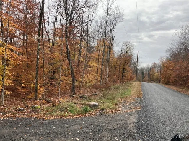 $219,900 | 10240 Riggerman Road, Remsen, NY 13438