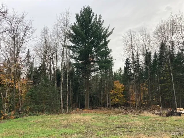 $219,900 | 10240 Riggerman Road, Remsen, NY 13438