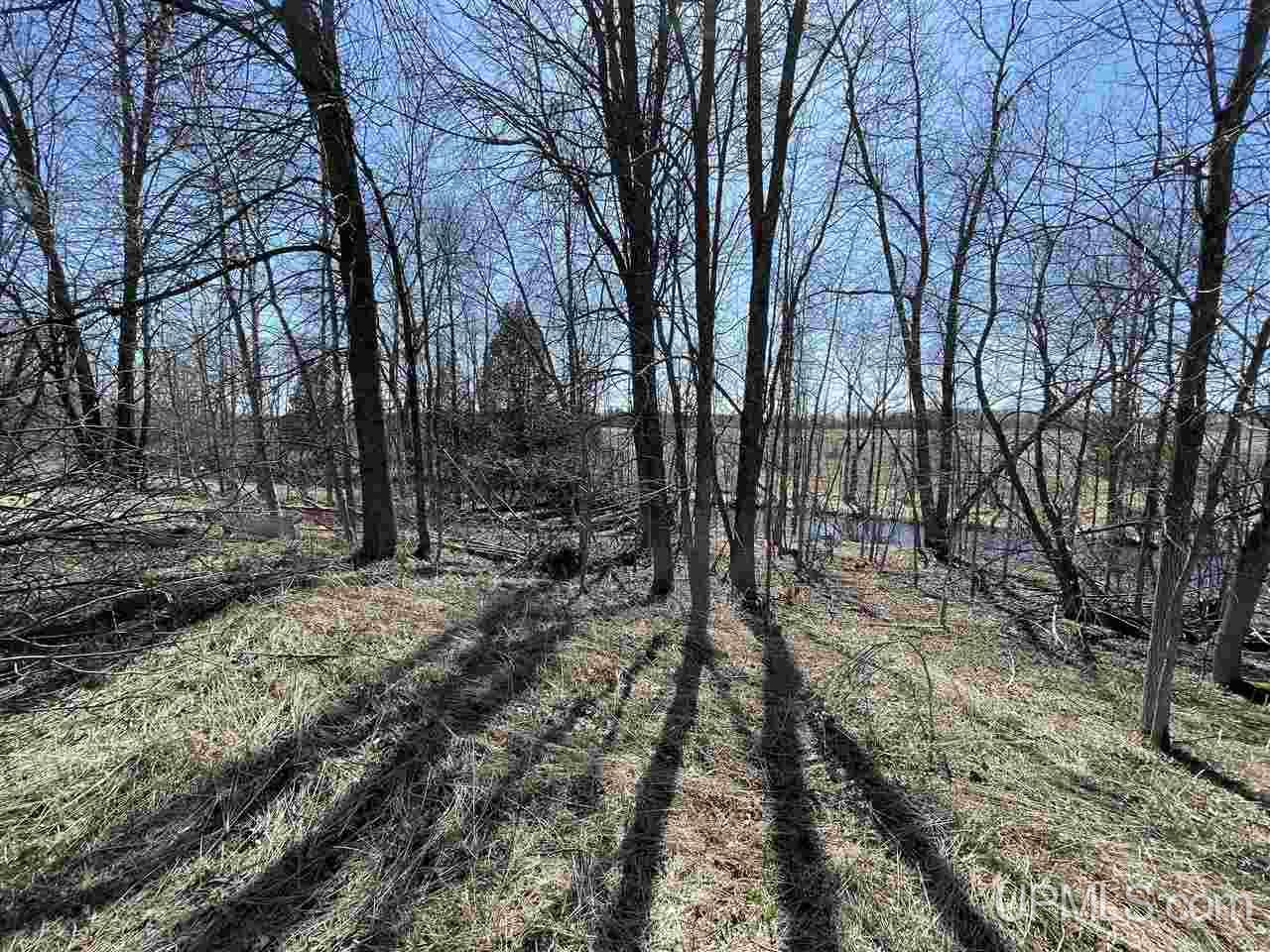 2795 F Road Bark River, MI 49807 - Photo 8 of 8