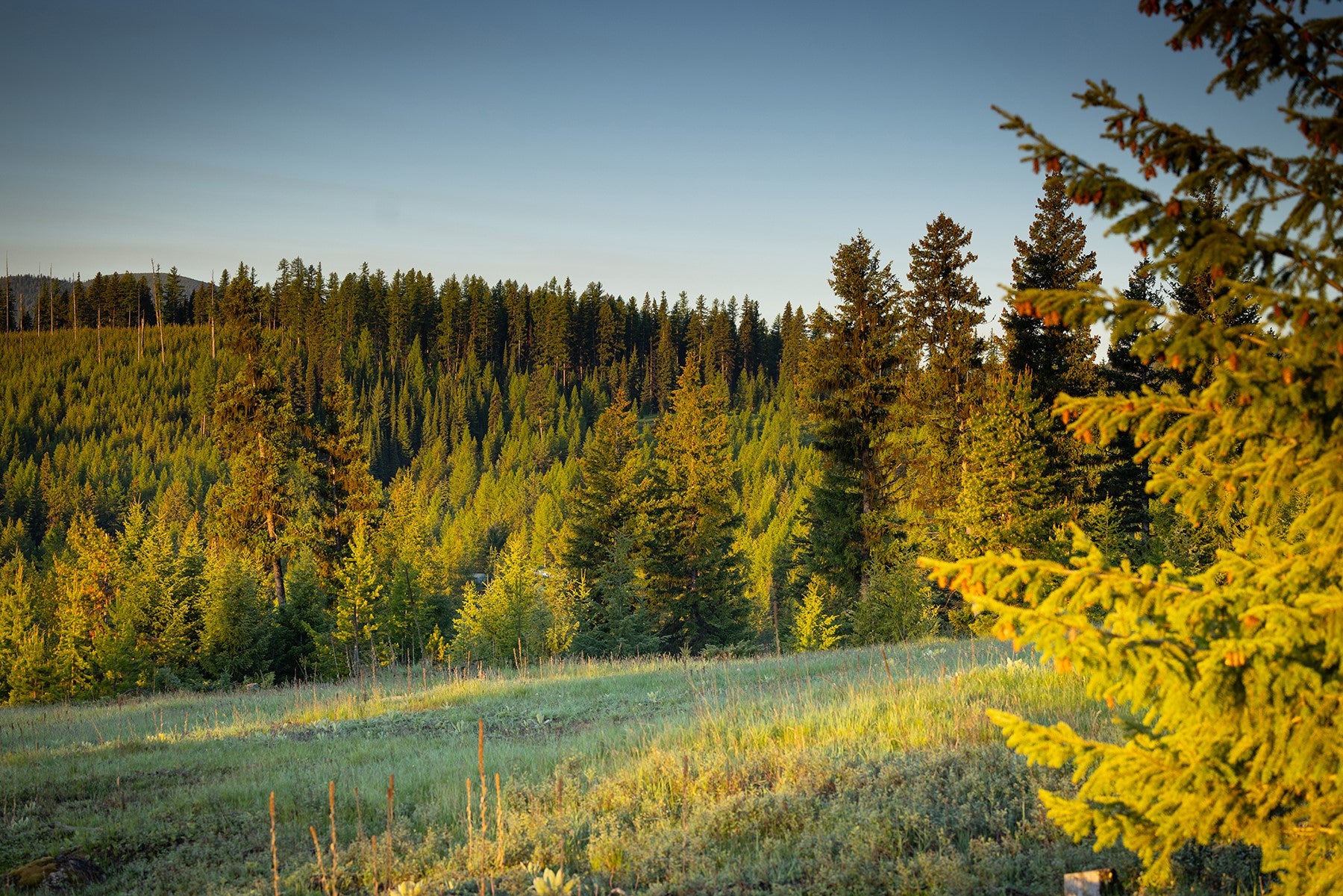 4475-4505 Star Meadow Road Whitefish, MT 59937 - Photo 57 of 73 Gallery Image 57