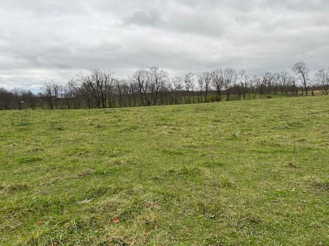 3669 Ironworks Road Georgetown, KY 40324 - Photo 13 of 19 image002