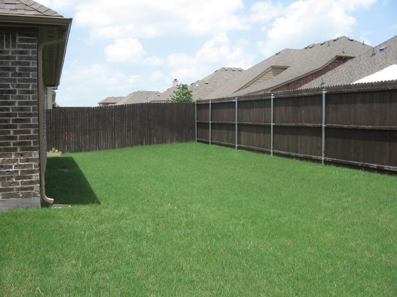 4302 Spruce Road Melissa, TX 75454 - Photo 10 of 15 a view of a backyard