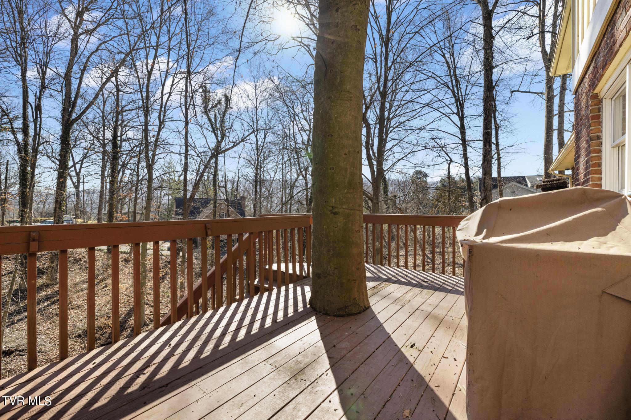 401 Canongate Road Kingsport, TN 37660 - Photo 30 of 43 IMG_6546