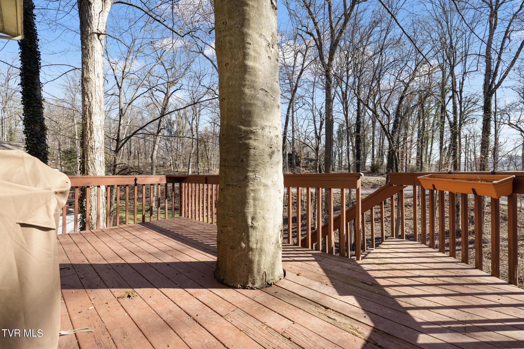 401 Canongate Road Kingsport, TN 37660 - Photo 32 of 43 IMG_6548