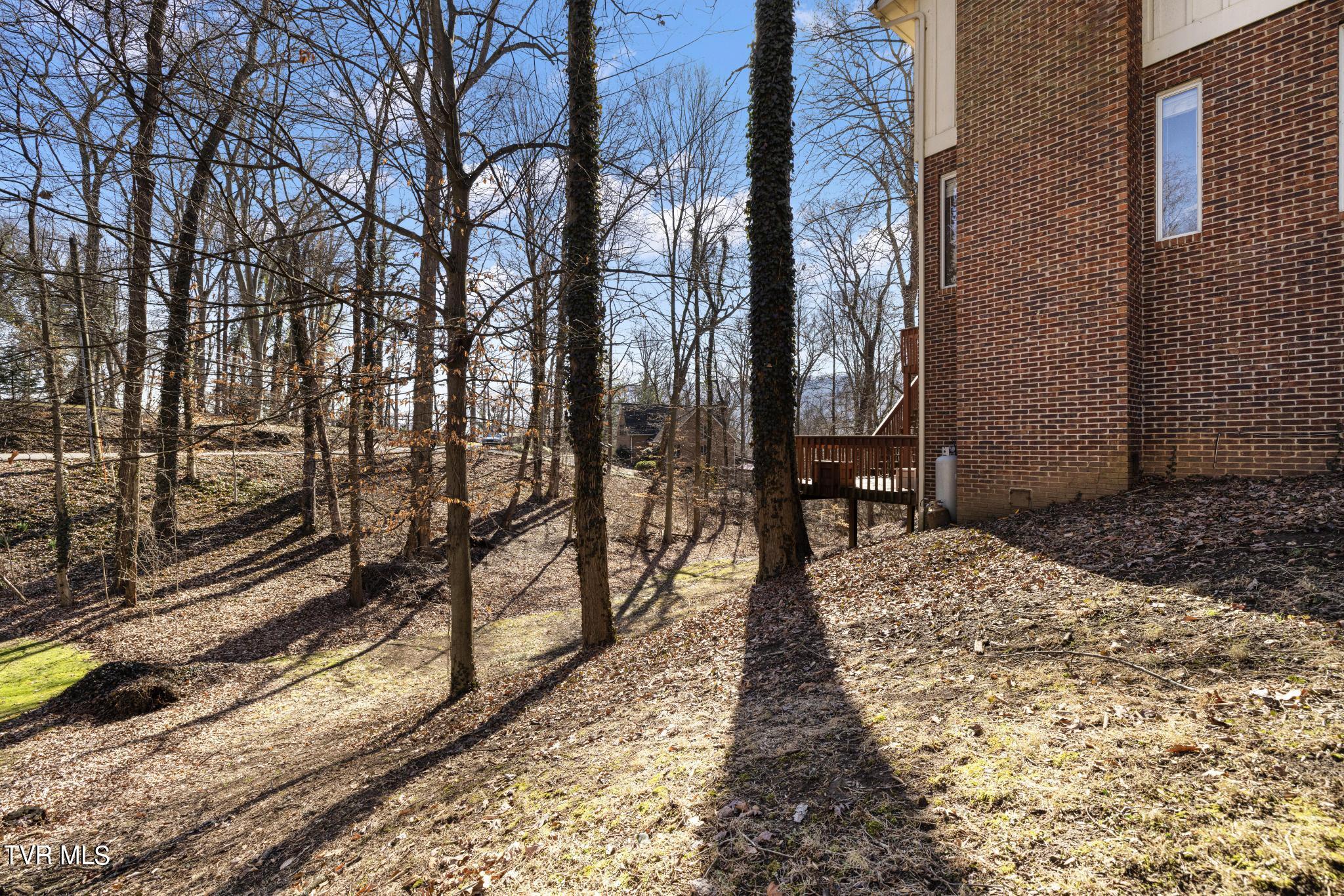 401 Canongate Road Kingsport, TN 37660 - Photo 38 of 43 IMG_6556