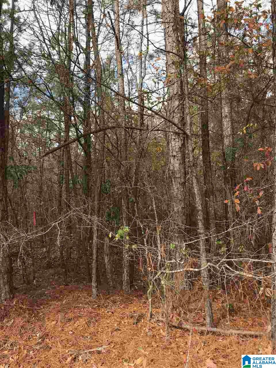 0 Walnut Drive Moody, AL 35004 - Photo 3 of 3