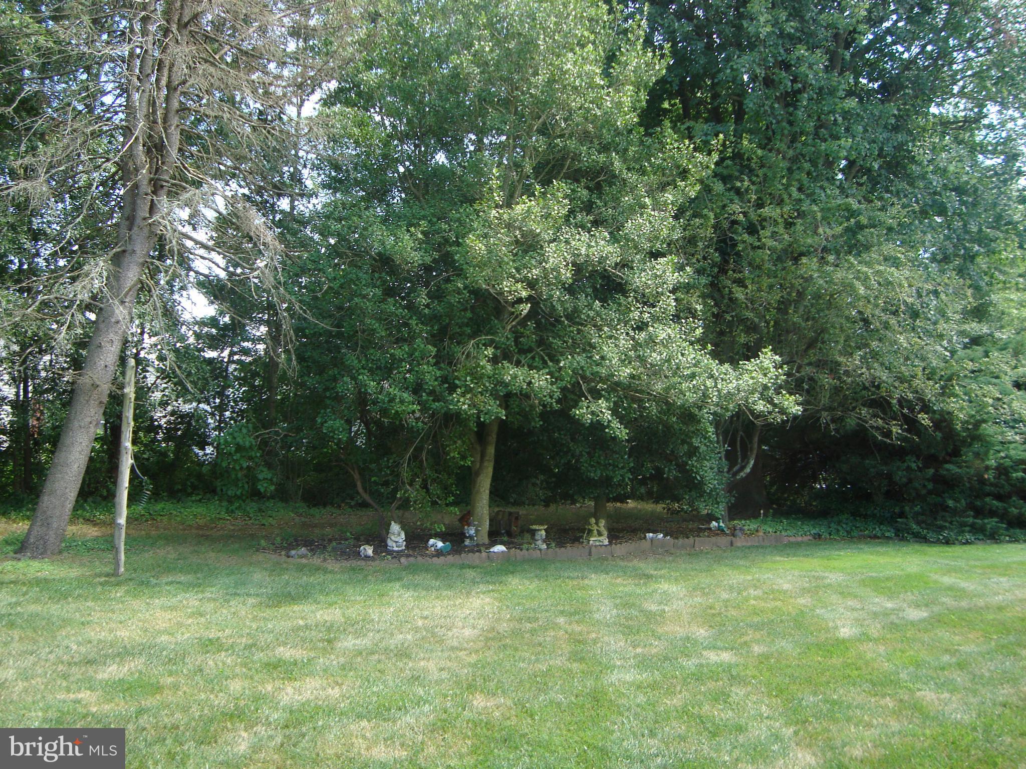 3 Heather Place Southampton, NJ 08088 - Photo 25 of 26 BACK YARD