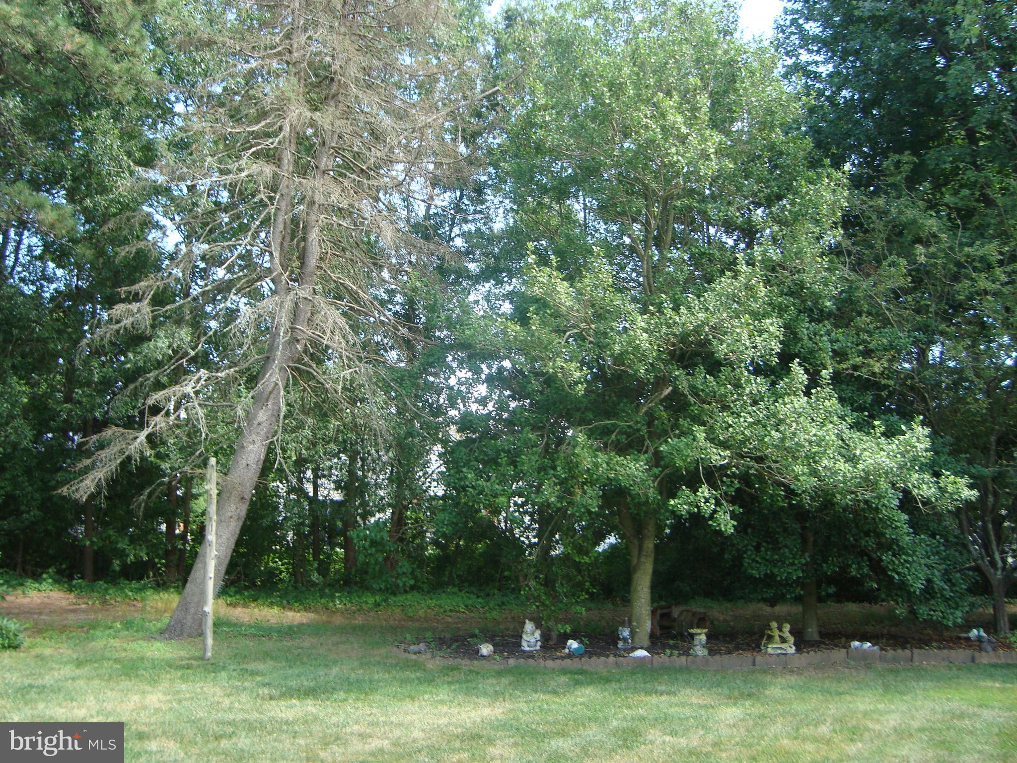 3 Heather Place Southampton, NJ 08088 - Photo 26 of 26 BACKS TO CANAL