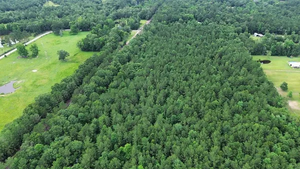 $350,000 | 9087 County Road 451, Kirbyville, TX 75956